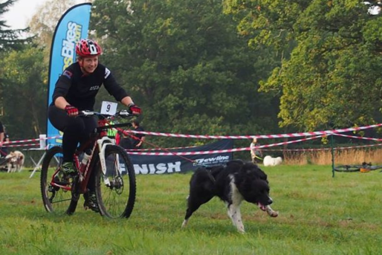 Découvrez le CanivTT : Sport Alliant VTT et Amour des Chiens